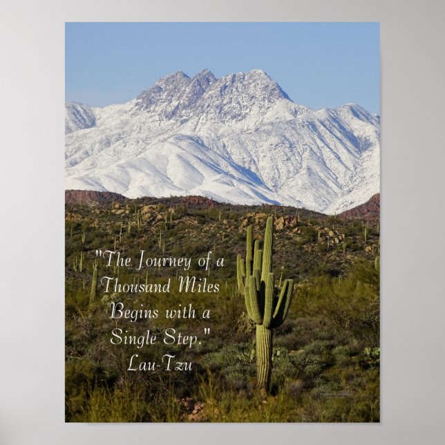 Saguaro Cactus Snö-bergen Arizona USA Poster (Framsidan)