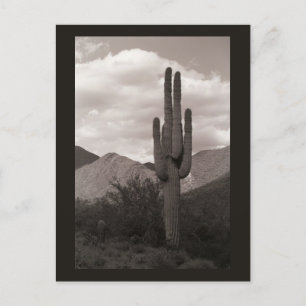 Saguaro Cactus Sonoran Desert B&W-fotovykort Vykort