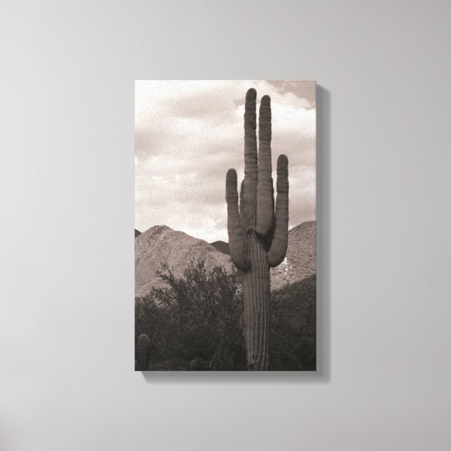 Saguaro Cactus Sonoran Desert B&W Photo Art Skriv  Canvastryck (Framsida)