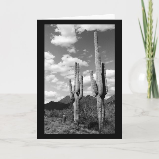 Saguaro Cactus Sonoran Desert Photo Greeting Card Kort (Framsida)