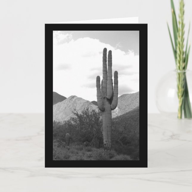 Saguaro Cactus Sonoran Desert Photo Greeting Card Kort (Framsida)
