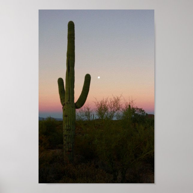 Saguaro Cactus Sunset Arizona Photo Poster (Framsidan)