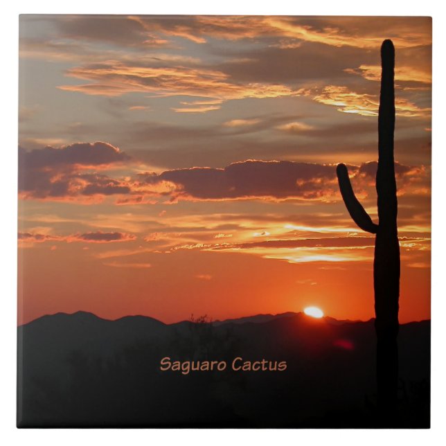 Saguaro Cactus, Sunset Kakelplatta (Framsidan)