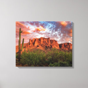 Saguaro Cactus Superstition Mountain Sunset 20x16 Canvastryck