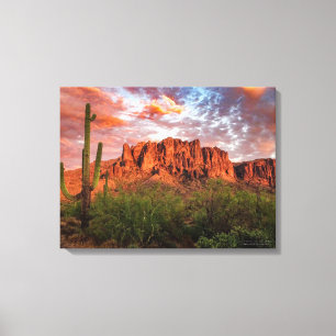 Saguaro Cactus Superstition Mountain Sunset 24x18 Canvastryck