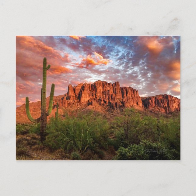 Saguaro Cactus Superstition Mountain Sunset Clouds Vykort (Framsida)