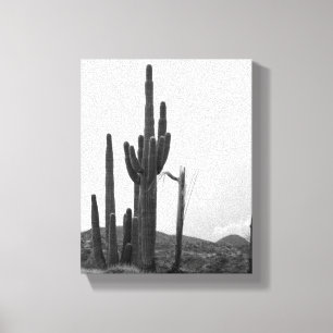 Saguaro Cactus svarta och vita grupp på Backe 8 x Canvastryck