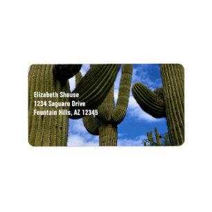 Saguaro Cactus Trio / Blå himmel & Clouds / adress Adressetikett