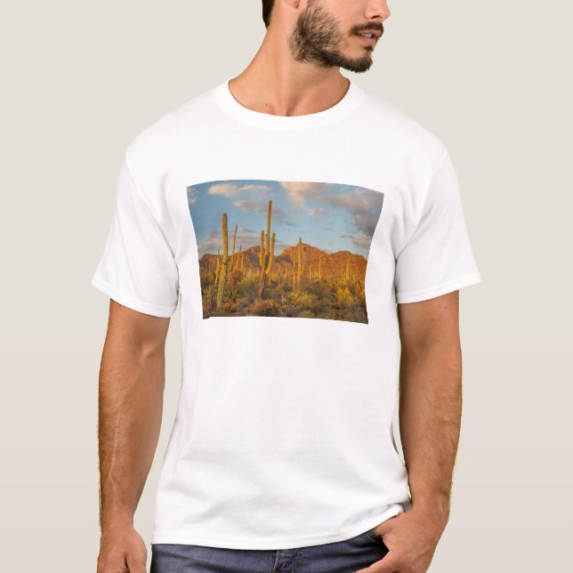 Saguaro cactus vid sunset, Arizona Tee Shirt (Framsida)