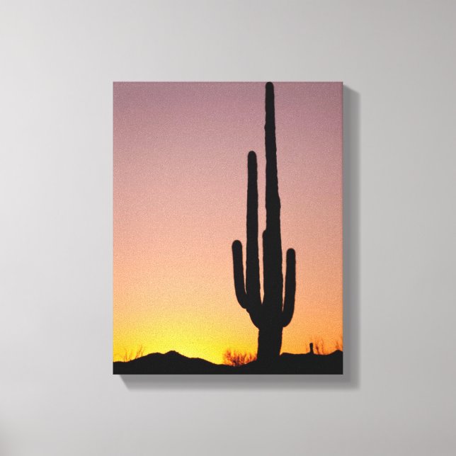 Saguaro Cactus vid Sunset Canvastryck (Framsida)