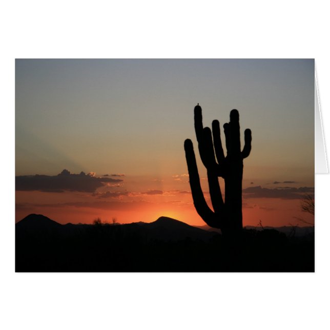 Saguaro Cactus vid Sunset Hälsningskort (Framsidan Horizontal)