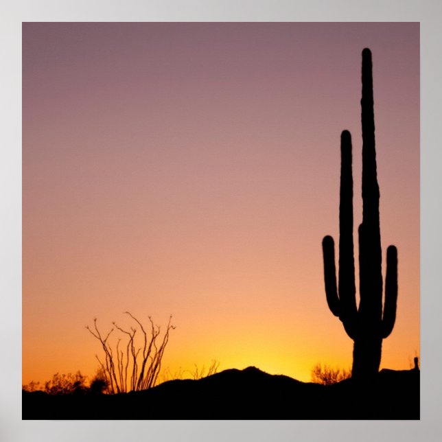 Saguaro Cactus vid Sunset Poster (Framsidan)