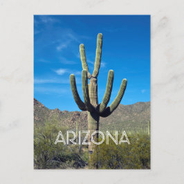 Saguaro Cactus vycard Vykort