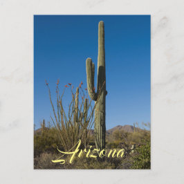 Saguaro Cactus vycard Vykort