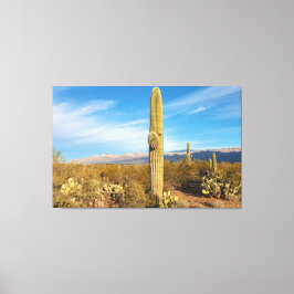 Saguaro Canvastryck