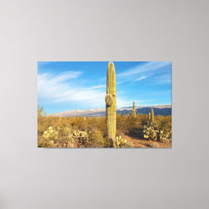 Saguaro Canvastryck