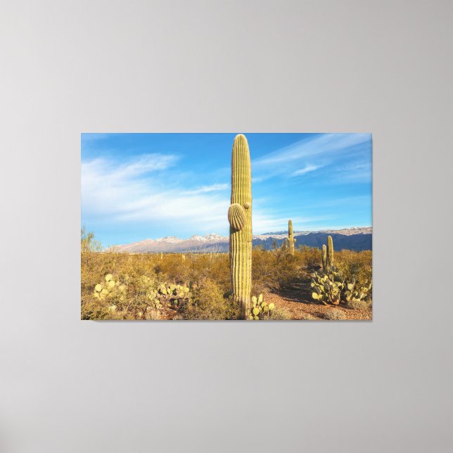 Saguaro Canvastryck (Framsida)