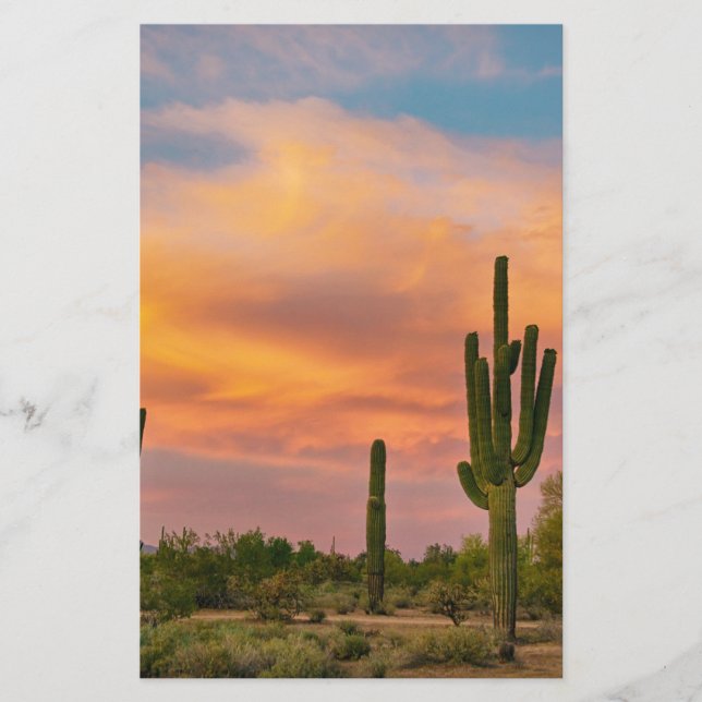 Saguaro Desert Life (Framsida)