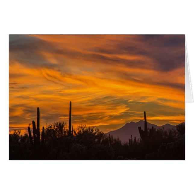 Saguaro Desert Sunset Photo Greeting Card Hälsningskort (Framsidan Horizontal)