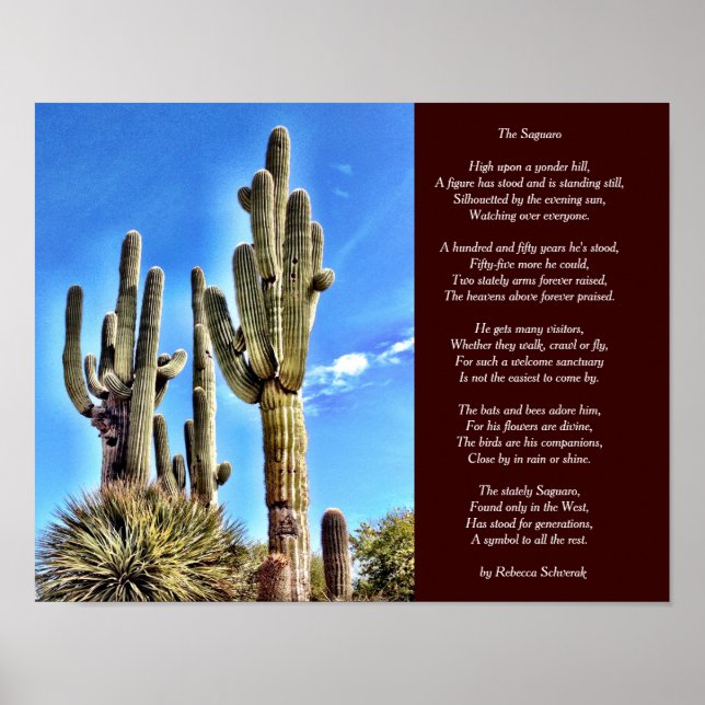Saguaro-Dikt Poster (Framsidan)