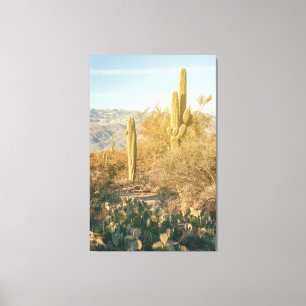 Saguaro Forest Canvastryck