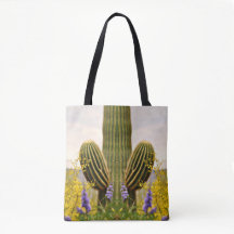 Saguaro i lavendeltoto