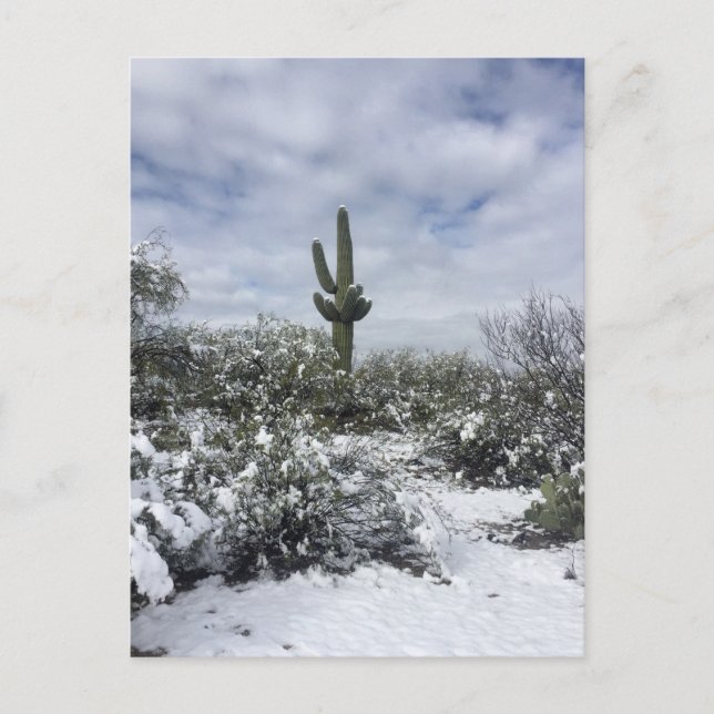 Saguaro i Snö Vykort (Framsida)