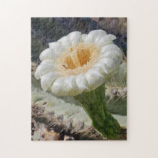 Saguaro in Bloom Puzzle, 11" x 14", 252 pieces Pussel