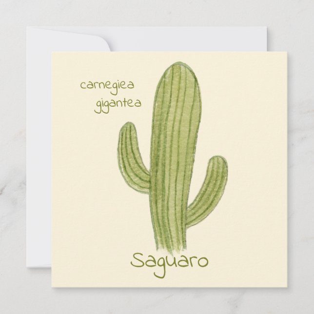 Saguaro-kaktus gratulationskort kort (Framsida)