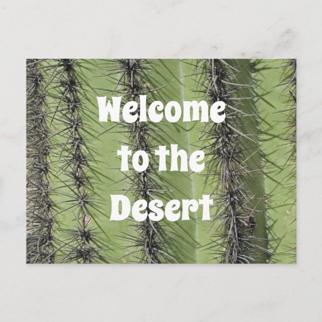 Saguaro Kaktus Öken Foto Fastighets Förtjusning Vykort (Framsida)