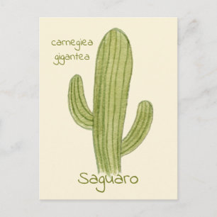 Saguaro-kaktus vykort. vykort