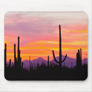 Saguaro-kaktusar skog vid solnedgång musmatta