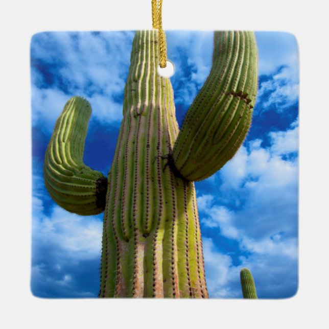 Saguaro-kaktusporträtt, Arizona Julgransprydnad Keramik (Framsida)
