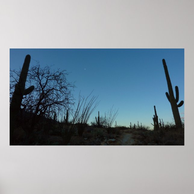 Saguaro Morgon i Saguaro nationalpark Poster (Framsidan)