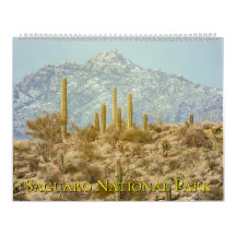 Saguaro National Park landskap
