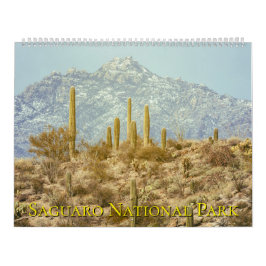 Saguaro National Park landskap Kalender
