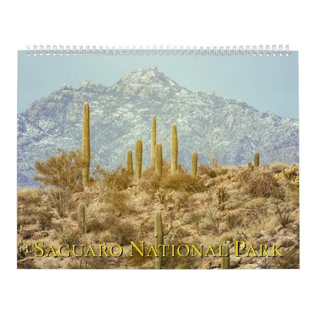 Saguaro National Park landskap Kalender (Omslag)