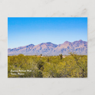 Saguaro National Park vykort