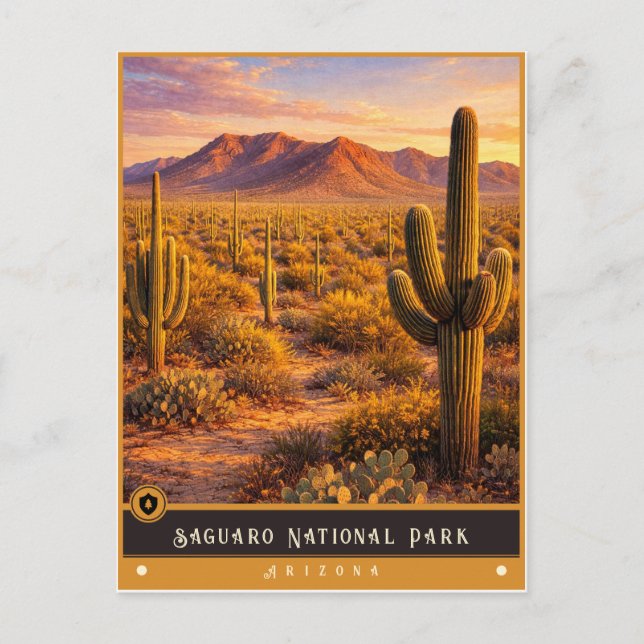 Saguaro nationalpark | Arizona Vintage vykort (Framsida)