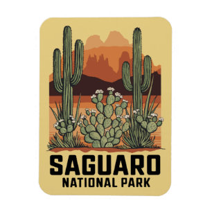 Saguaro nationalpark Cactus Magnet