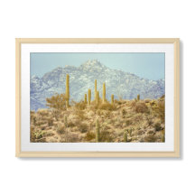 Saguaro nationalpark