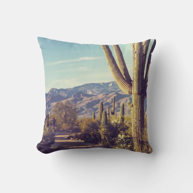 Saguaro nationalpark, scenrepresentation. kudde (Framsida)