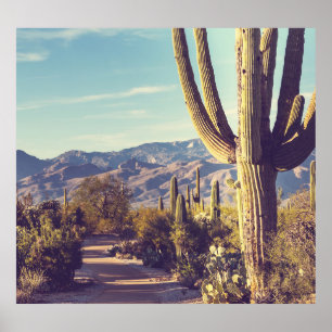Saguaro nationalpark, scenrepresentation. poster