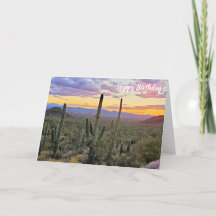 Saguaro nationalpark Sunset