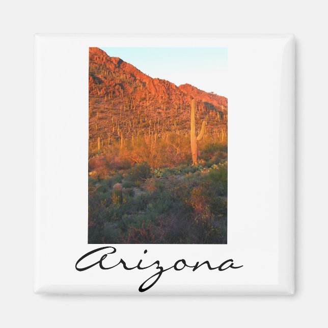 Saguaro nationalpark sunset magnet (Framsidan)