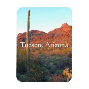 Saguaro nationalpark, Tucson Arizona Magnet