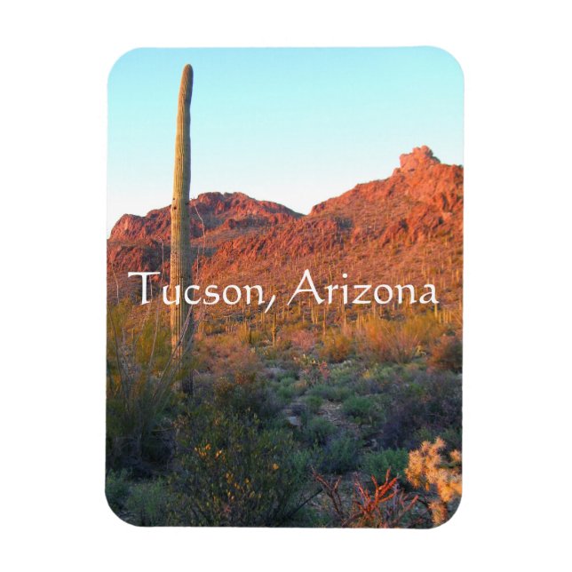 Saguaro nationalpark, Tucson Arizona Magnet (Vertikal)