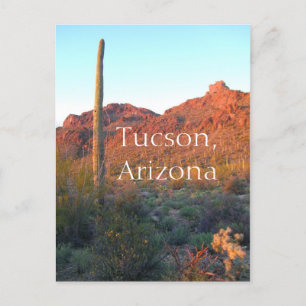 Saguaro nationalpark Tucson, Arizona Vykort