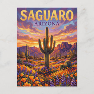 Saguaro nationalpark USA Vykort