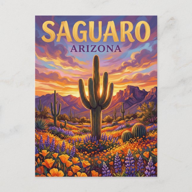 Saguaro nationalpark USA Vykort (Framsida)